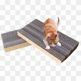 Corrugated Cardboard Rectangle Cat Scratch - Cat Grabs Treat Clipart