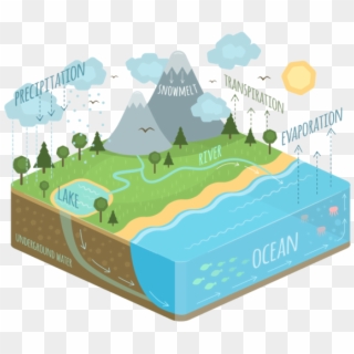 Conserving Land Where The Raindrops Fall Is An Immediate - Water Cycle Diagram Clipart