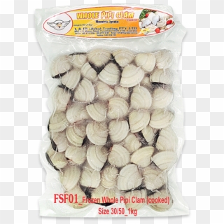 [fsf01] Frozen Whole Pipi Clam Size 30/50 - Cockle Clipart