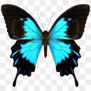 Transparent Butterfly Tumblr - Png Papilio Ulysses Butterfly Clipart