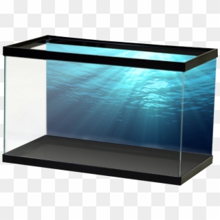 Salt Ocean - Fish Tank Ocean Backgrounds Clipart