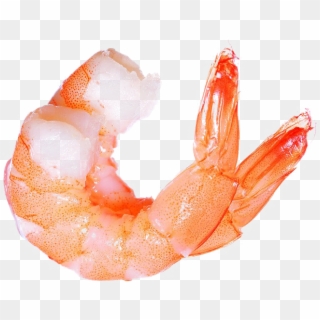 Ocean Shrimp Transparent Png - Shrimp Png Transparent Clipart