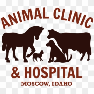 Animal Clinic & Hospital - Animal Clinic Clipart