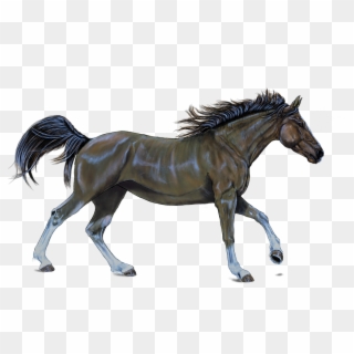Horse, Brown, Digital Artwork, Painting - Horse Racing Silhouette Transparent Clipart