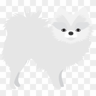 White Pomeranian - Pomeranian Clipart