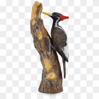 Woodpecker Png - Schleich Woodpecker Clipart