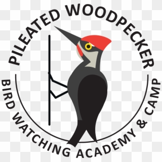 Pileated Woodpecker - Ivory-billed Woodpecker Clipart