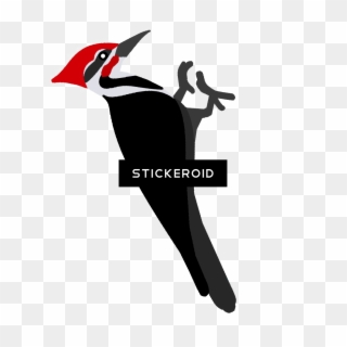 Pileated Woodpecker , Png Download - Ivory-billed Woodpecker Clipart