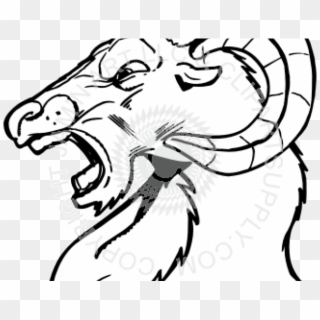 Ram Head Cliparts - Drawing Of A Ram Head - Png Download