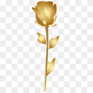 Download Beautiful Gold Rose Png Images Background - Floribunda Clipart