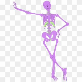 Human Skeleton Outline - Caricatura De Esqueleto Humano Clipart