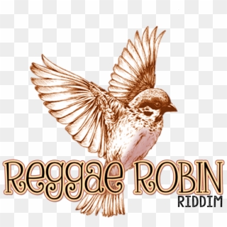 Reggae Robin Riddim Logo - Free Flying Bird Drawing Clipart