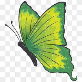 The Green Butterfly Gala May 10, 2018 @ - Transparent Green Butterfly Clipart
