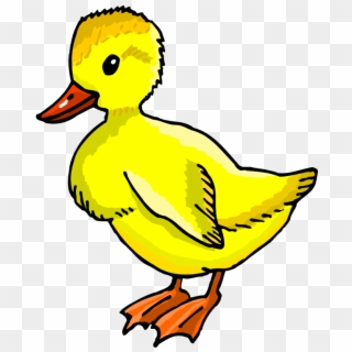 Duck Clipart Duckling - Duckling Clipart - Png Download