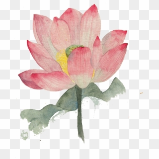 Vector Ink Water Illustration - Lotus Water Color Painting Clipart
