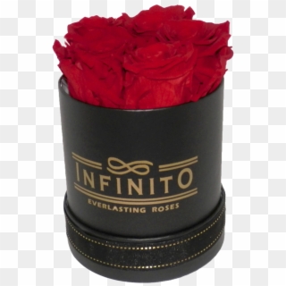Infinito Petite Round Box - Garden Roses Clipart