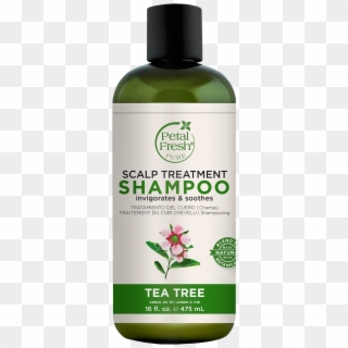 Tea Tree - Petal Fresh Shampoo Clipart