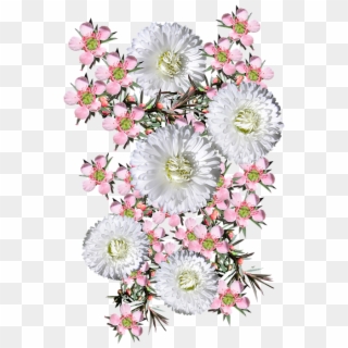 Pink Tea Tree White Daisies - Bouquet Clipart