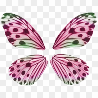 Buterfly Sticker - Butterfly Wing Pattern Clipart