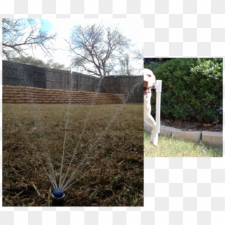 Finn Lawn Sprinkler Understands And Offers A Full Range - Grass Clipart