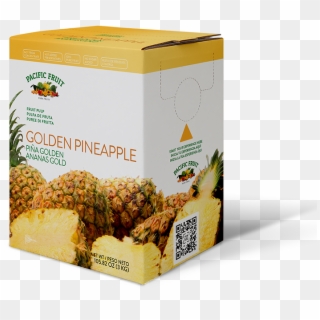 Durian Clipart