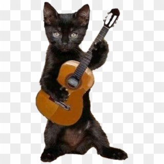 Flamenco Cat , Png Download - Cat With Guitar Happy Birthday Clipart