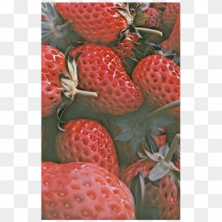 Strawberry Clipart