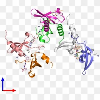 Pdb 4x3t Coloured By Chain And Viewed From The Front - Cartoon Clipart