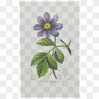 Picture Of Dahlia Herbier Général De L'amateur - Purple Passionflower Clipart