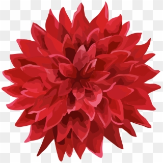 Dahlia Flower Png , Png Download Clipart