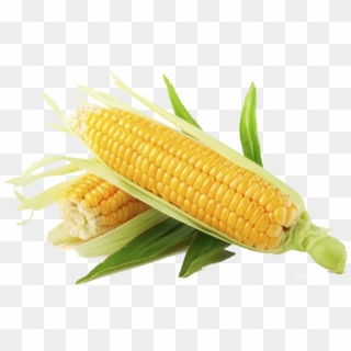 Maíz - Corn Png Clipart