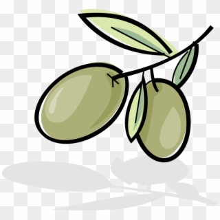 Vector Illustration Of Olives Growing On Plant Branch - Olive Clipart