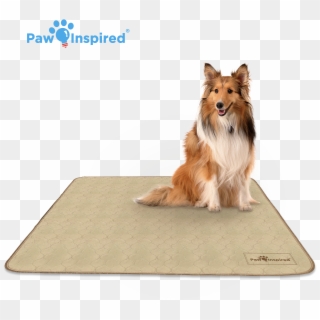41'' X 41'' Paw Inspired Washable Pee Pads For Dogs, - Rough Collie Clipart