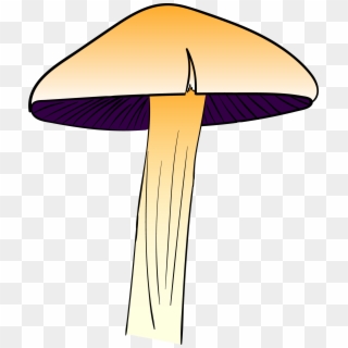 New To Adobe Illustrator, Thought I'd Share My First - Agaricus Clipart