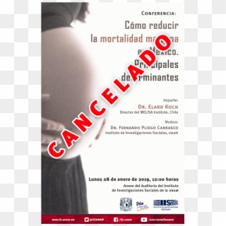 Cómo Reducir La Mortalidad Materna En México - Poster Clipart