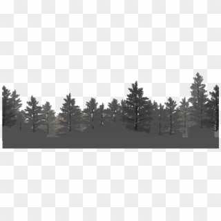 Layer-3 - Shortleaf Black Spruce Clipart