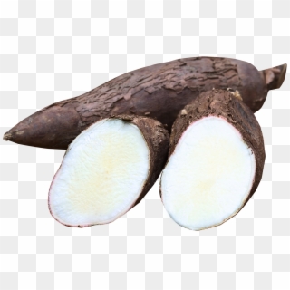 Cassava Png Image - Cassava Clipart