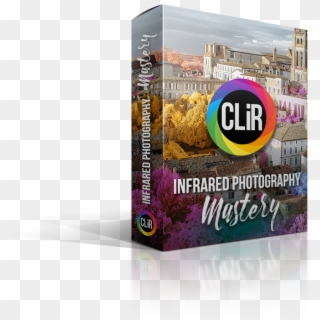 Ir Mastery Education Bundle - Fruit Clipart