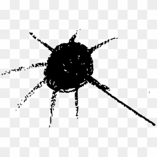 Beetle Fly Spider Web Arthropod - Illustration Clipart