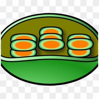 Clip Art - Png Download