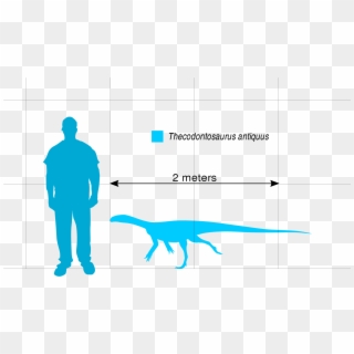 File - Thecodontosaurus Scale - Svg - Ornitholestes - Scale Person Svg Clipart
