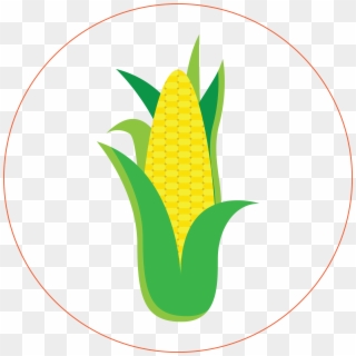 Corn - Sweet Corn Clipart