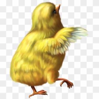 Easter Deco Chicken Png Clipart Picture - Chicken Gif Png Transparent Png