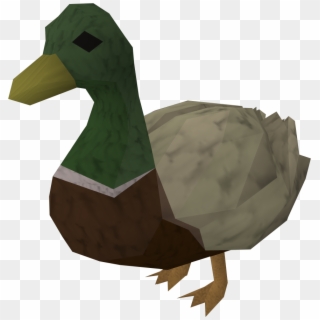 Mega Duck Clipart
