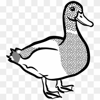 Clip Art Of Duck , Png Download - Duck Black And White Clip Art Transparent Png