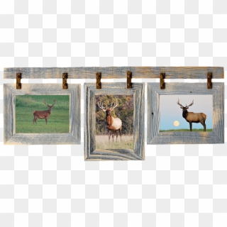 Frame Deer - Elk Clipart