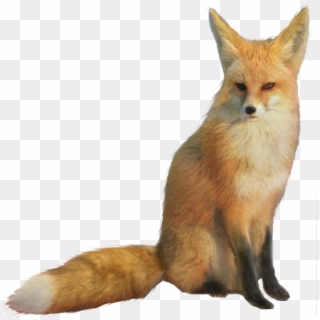 Red Fox Fennec Fox Mix Clipart