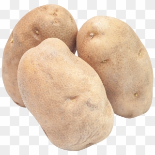 Potato Potato Png Image Clipart