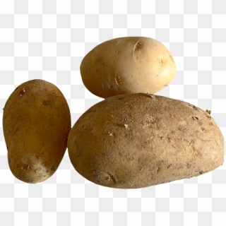 Fresh Potato Png Image Clipart