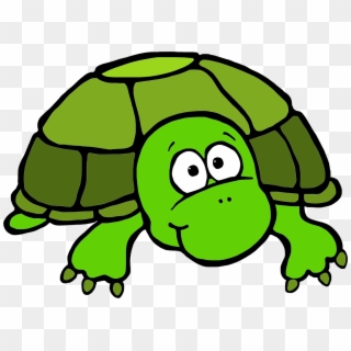 1600 X 1149 3 - Turtle Clip Art Colored - Png Download